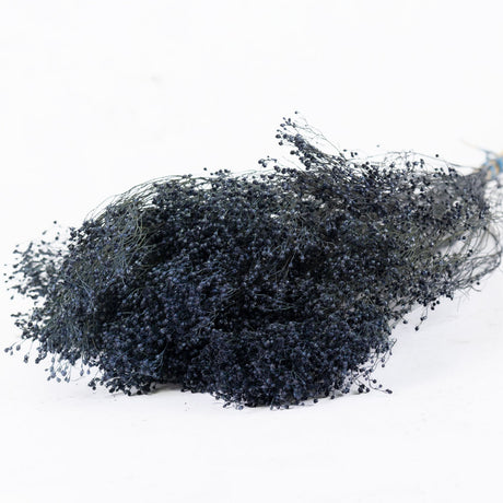 Broom Bloom, Dried, Dark Blue