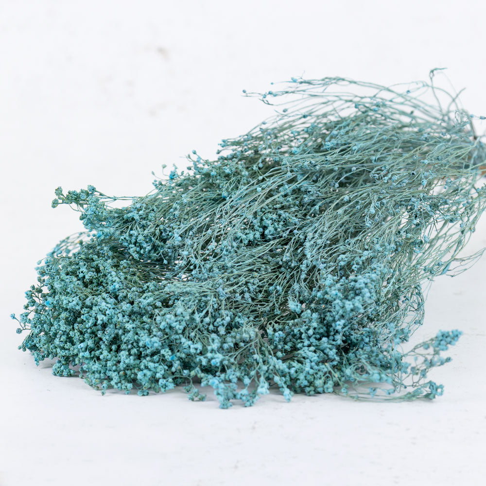 Broom Bloom, Dried, Blue Misty