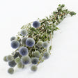Brown stems with green leaves and blue/green round spikey flower heads