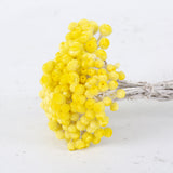 Dried Helichrysum Immortelle, Natural Yellow, Bunch, 50g.