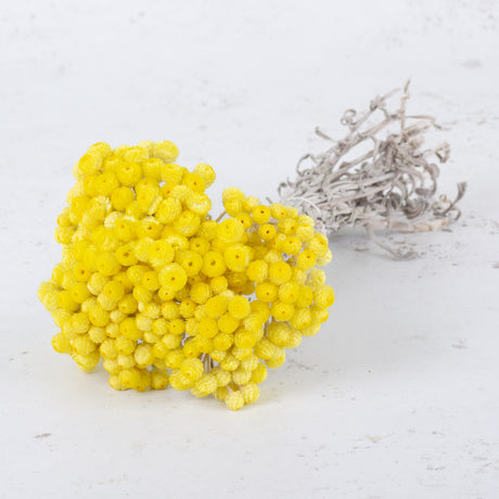 Dried Helichrysum Immortelle, Natural Yellow, Bunch, 50g.