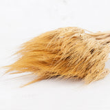 A natural yellow almost golden wheat grass, long stems with seed heads and wispy ends