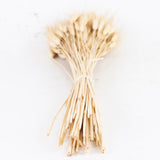 Dried Triticum, Blond Beard Wheat, 250g