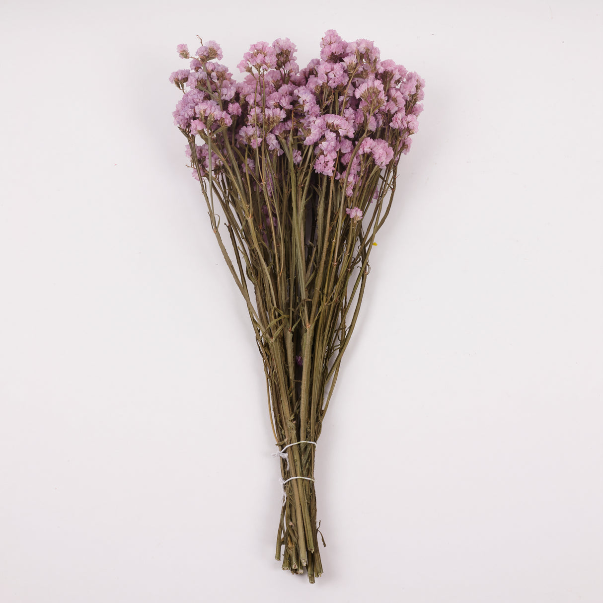 Statice Sinuata, Dried, Pink, 45cm Bunch