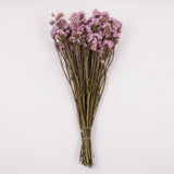 Statice Sinuata, Dried, Pink, 45cm Bunch