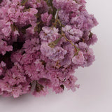Statice Sinuata, Dried, Pink, 45cm Bunch