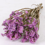 Statice sinuata, Light Lilac