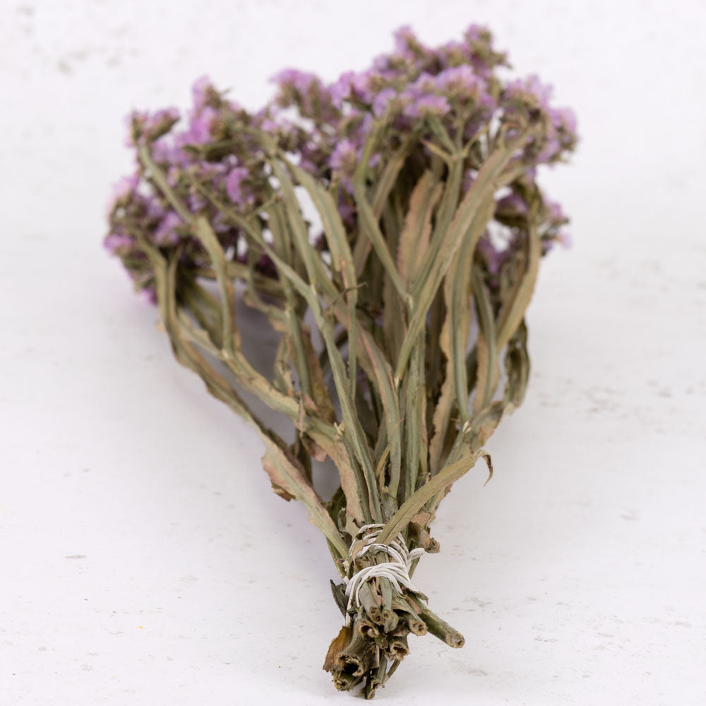 Statice sinuata, Light Lilac