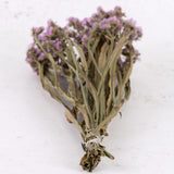 Statice sinuata, Light Lilac