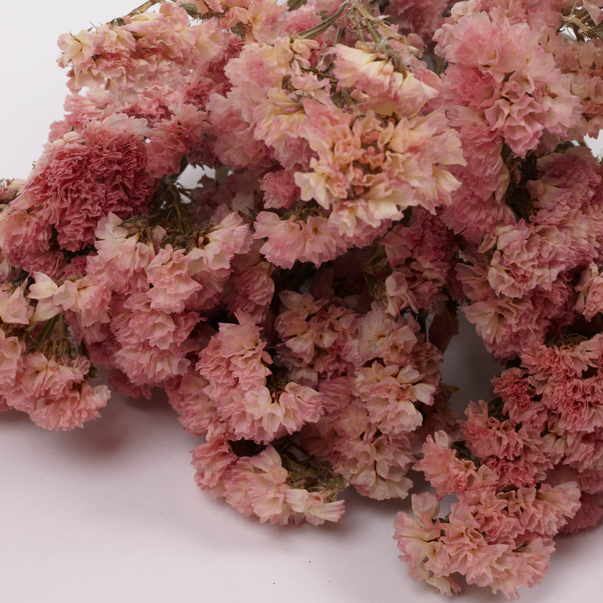 Statice Sinuata, Dried, Peach, 45cm Bunch