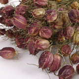 Nigella Seed Pods, (Dried), Black, 55cm Bunch
