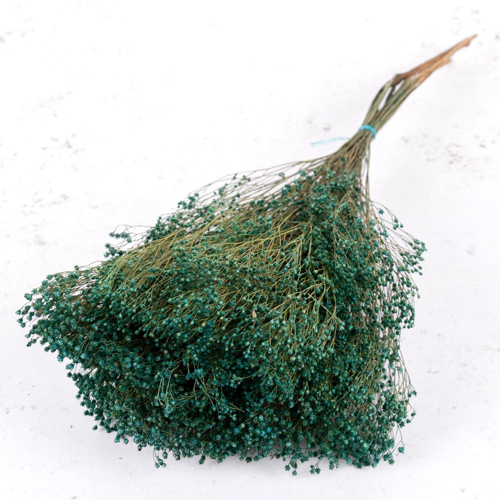 Broom Bloom, Dried, Dyed Petrol Blue, 100g