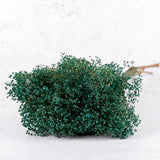 Broom Bloom, Dried, Dyed Petrol Blue, 100g