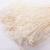 Broom Bloom, Dried, Bleached White, 100g Bunch