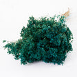 Broom Bloom, Dried, Dyed Emerald Green, 100g