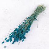 Phalaris, (Canary Grass), Petrol Blue, 70cm