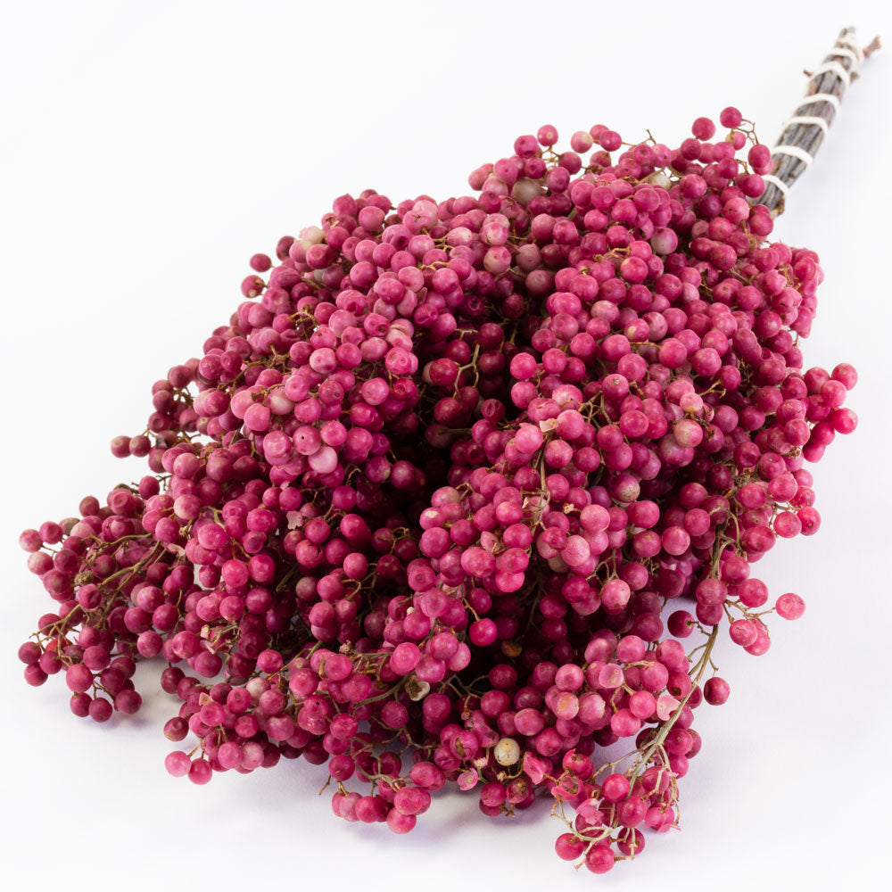 a bunch of pink pepper berry stems against a white background