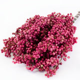 a bunch of pink pepper berry stems against a white background