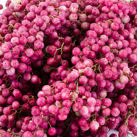 a bunch of pink pepper berry stems against a white background