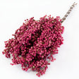 a bunch of pink pepper berry stems against a white background