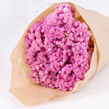 Helichrysum Immortelle, Dyed Lilac, 50g