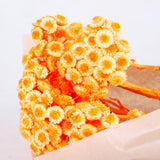 Helichrysum Immortelle, Dried,  Dyed Orange, 40g