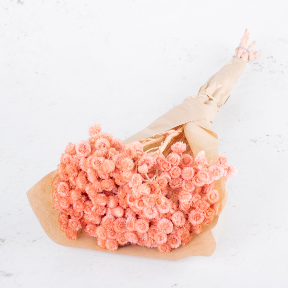 T00709H-Helichrysum-Immortelle_-Dried_--Dyed-Salmon pink_-40g