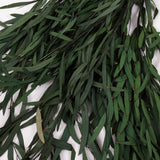 Eucalyptus Nicoli, Preserved, Green, 150g