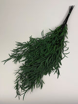 Eucalyptus Nicoli, Preserved, Green, 150g