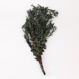 Eucalyptus Parvifolia, Preserved, Green, 150g