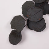Eucalyptus Populus, Preserved, Dark Green, 150g