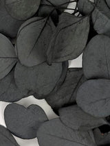 Eucalyptus Populus, Preserved, Dark Green, 150g