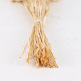 Phalaris, (Canary Grass), Bleached White, 100g