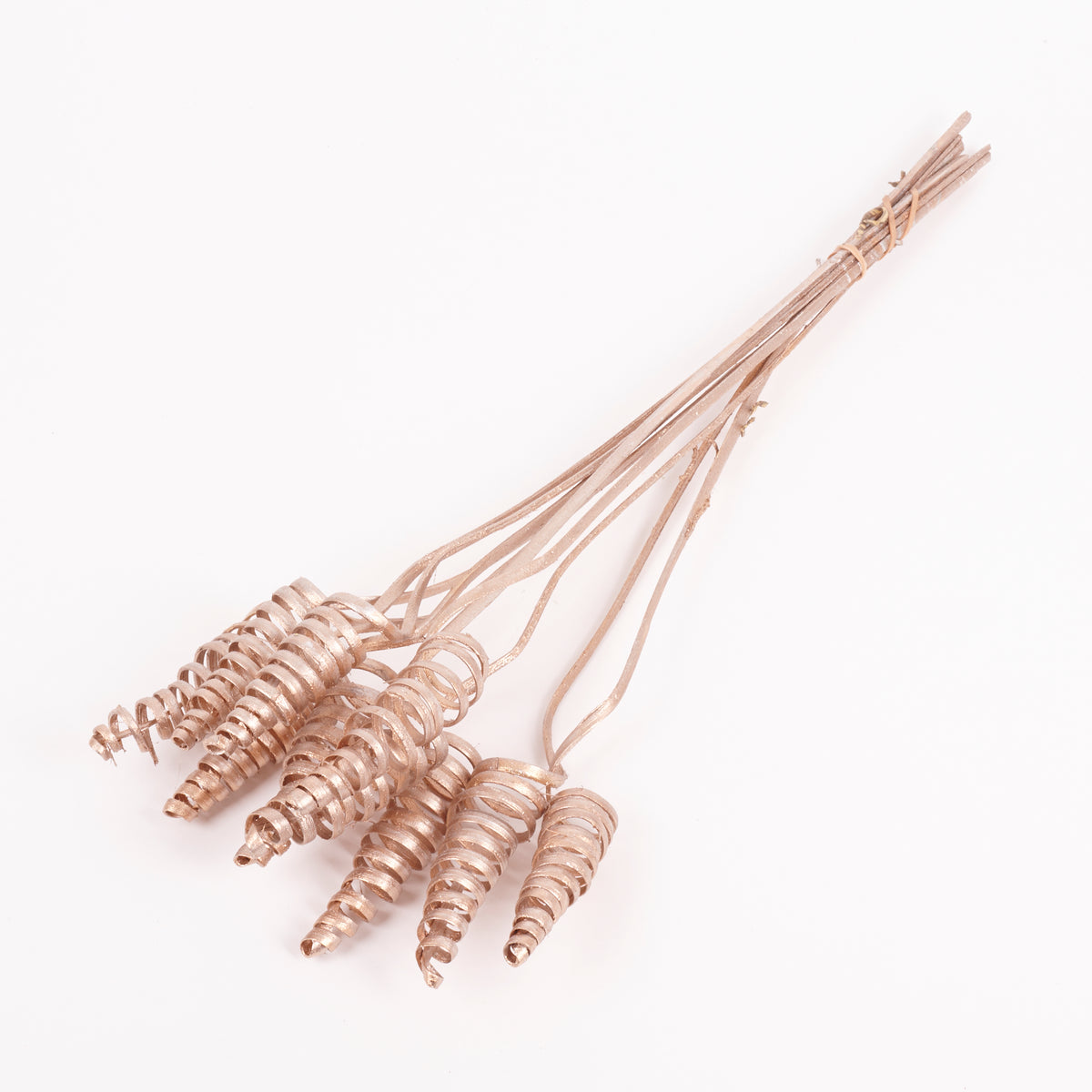 Cane Cone, Warm Gold, Bunch x 10