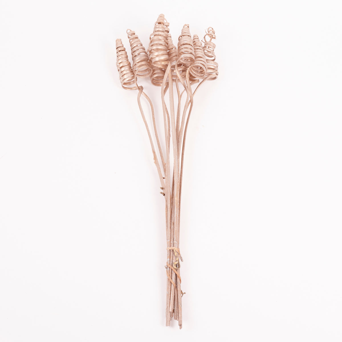 Cane Cone, Warm Gold, Bunch x 10