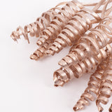 Cane Cone, Warm Gold, Bunch x 10