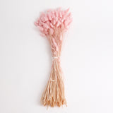 Lagurus ovatus, (Bunny Tails), Dried, Pale Pink, 100g