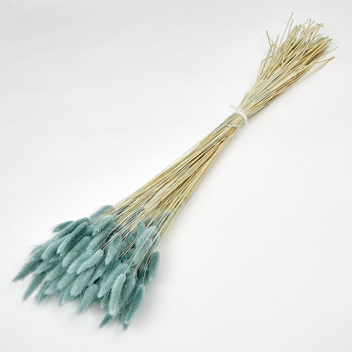 Lagurus ovatus, (Bunny Tails), Dried, Grey, 100g
