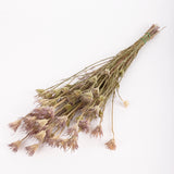 Nigella orientalis, natural, 100g Bunch