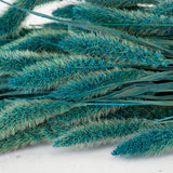 Dried Setaria Grass, Petrol Blue, 65cm Bunch