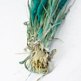 Setaria Grass, Emerald Green, 65cm Bunch