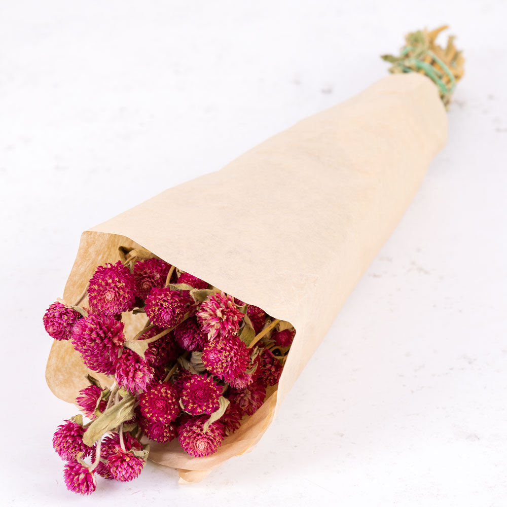 Gomphrena Flower, Dried, Natural Purple Atlas Flowers