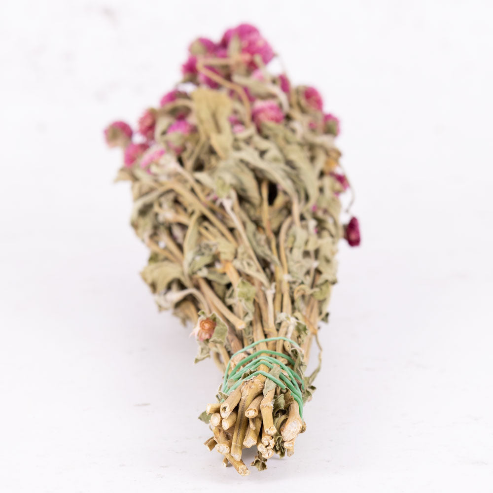 Gomphrena Flower, Natural Purple