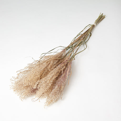 Fluffy Reed Grass natural Pink