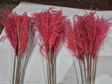 Reed Grass, Fluffy, Dried, Dyed Pink