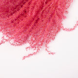 Reed Grass, Fluffy, Dried, Dyed Pink