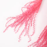 Reed Grass, Fluffy, Dried, Dyed Pink
