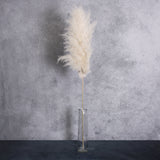 A single stem of pampas from the bunch of 5