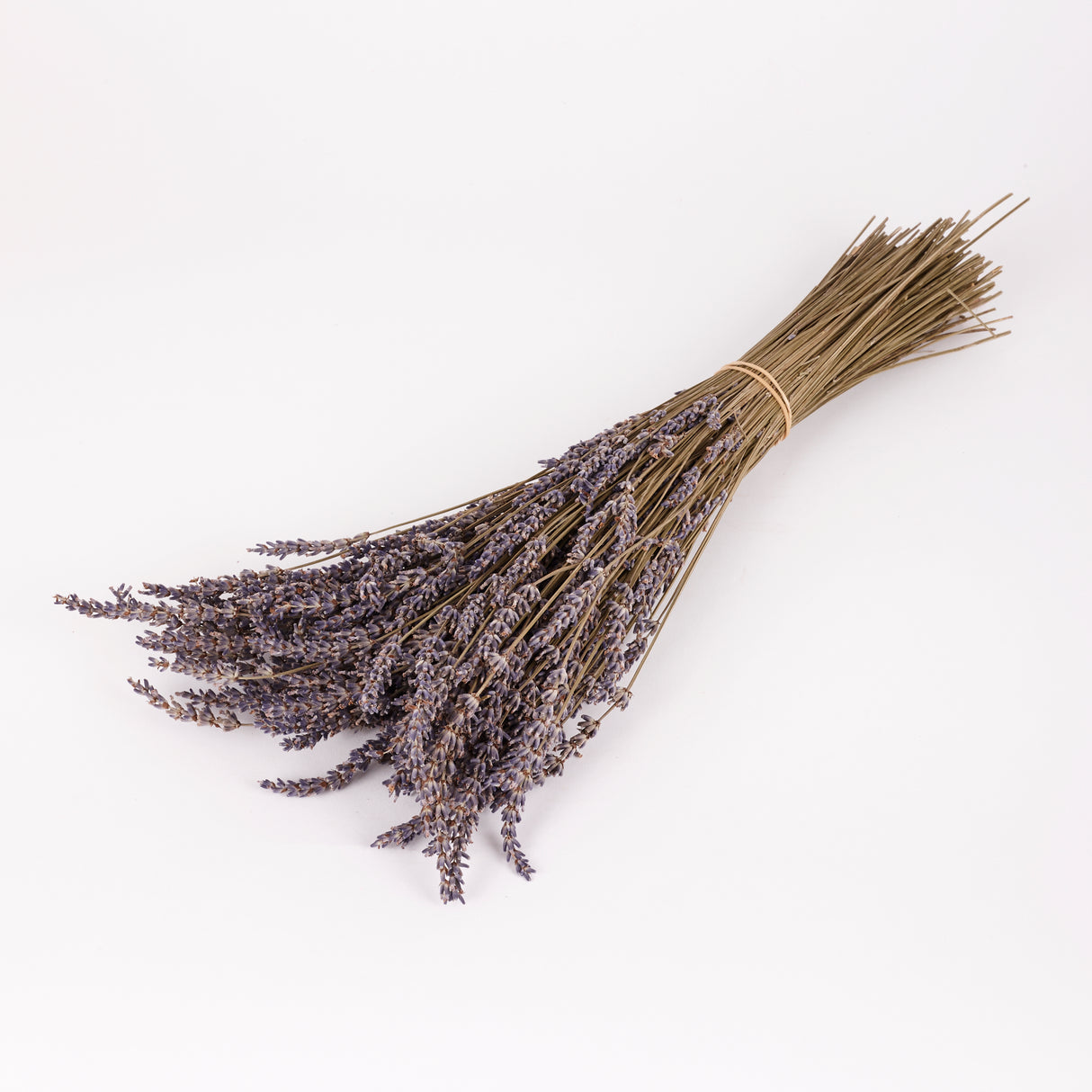 Lavender (Italian), Dried, Natural Blue, 100g Bunch