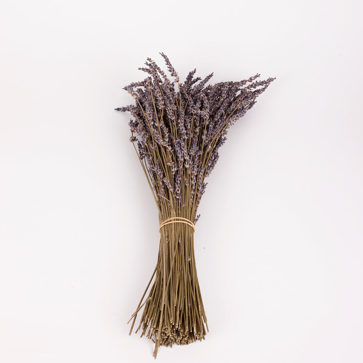 Lavender (Italian), Dried, Natural Blue, 100g Bunch